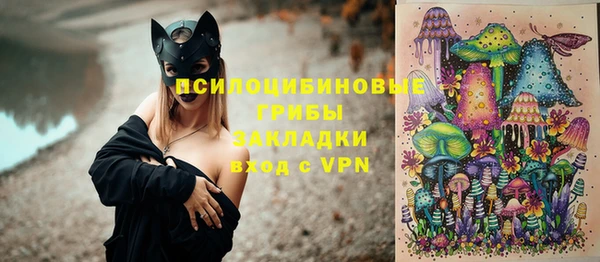 крисы Аркадак