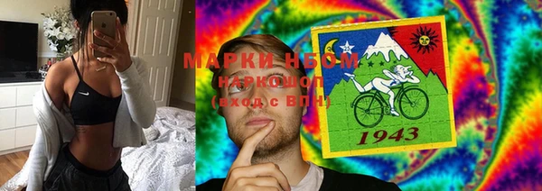 крисы Аркадак